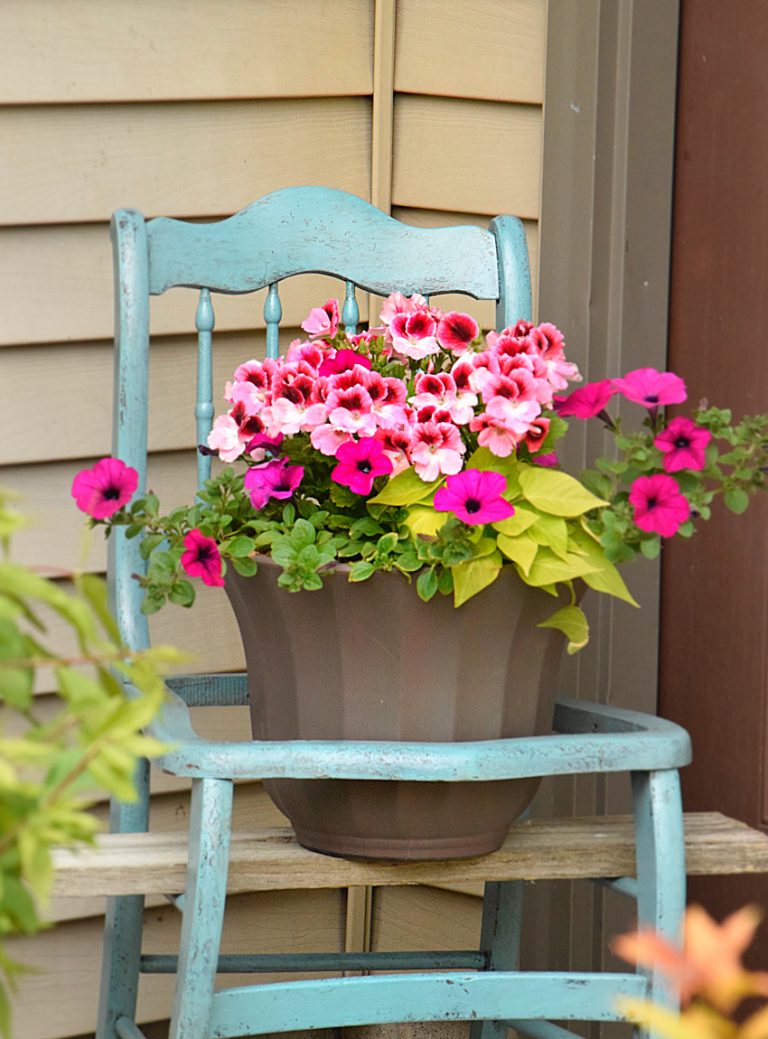 DIY: Fun Spring Planter - Timeless Creations